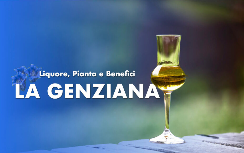 genziana liquore proprietà e benefici