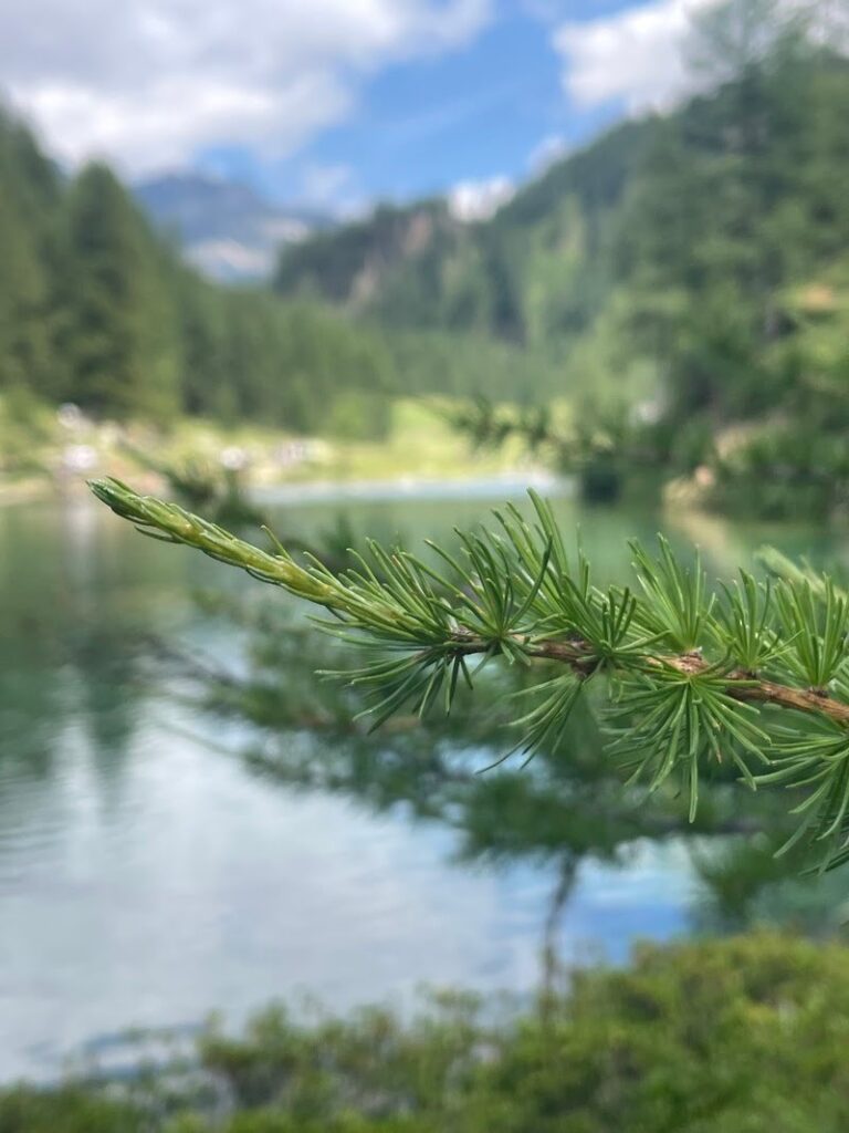 lago delle streghe colori