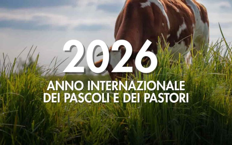 2026 anno internazionale dei pascoli e dei pastori